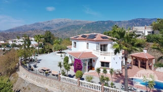 Sunset Properties, Propiedad v1604